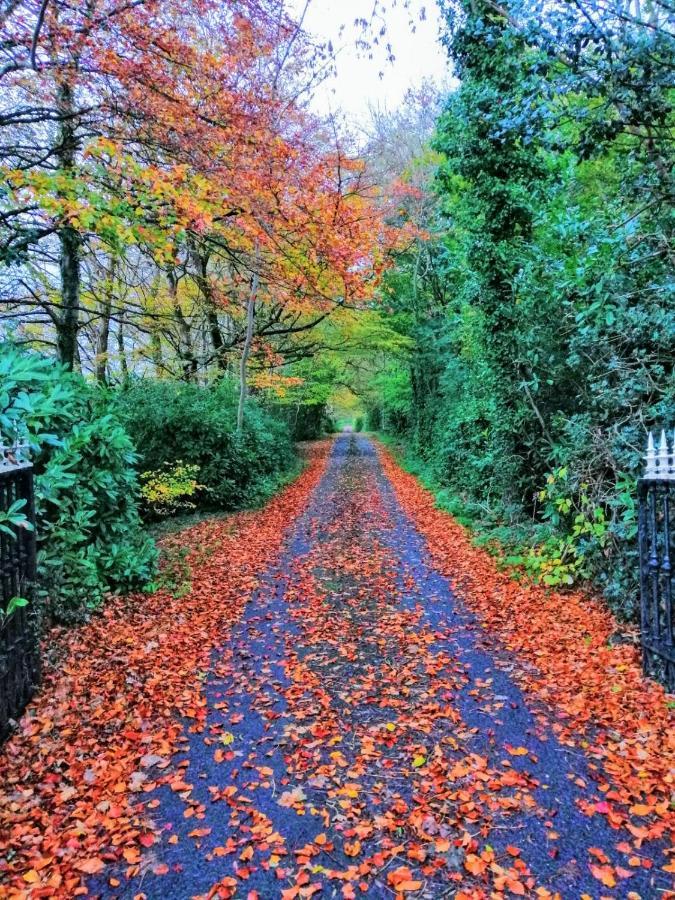 O'Harabrook Country House แบลลีย์มันนี ภายนอก รูปภาพ