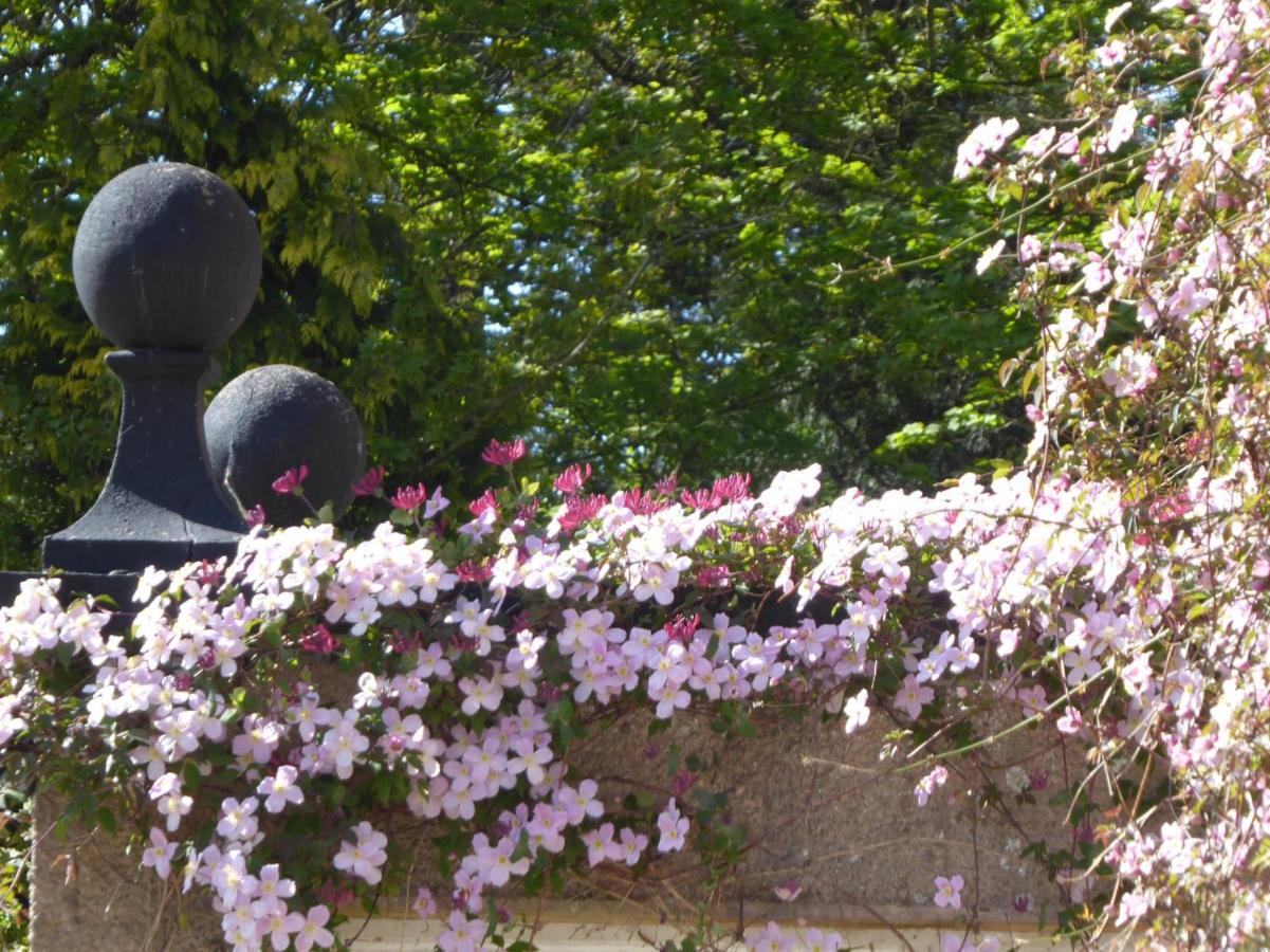 O'Harabrook Country House แบลลีย์มันนี ภายนอก รูปภาพ