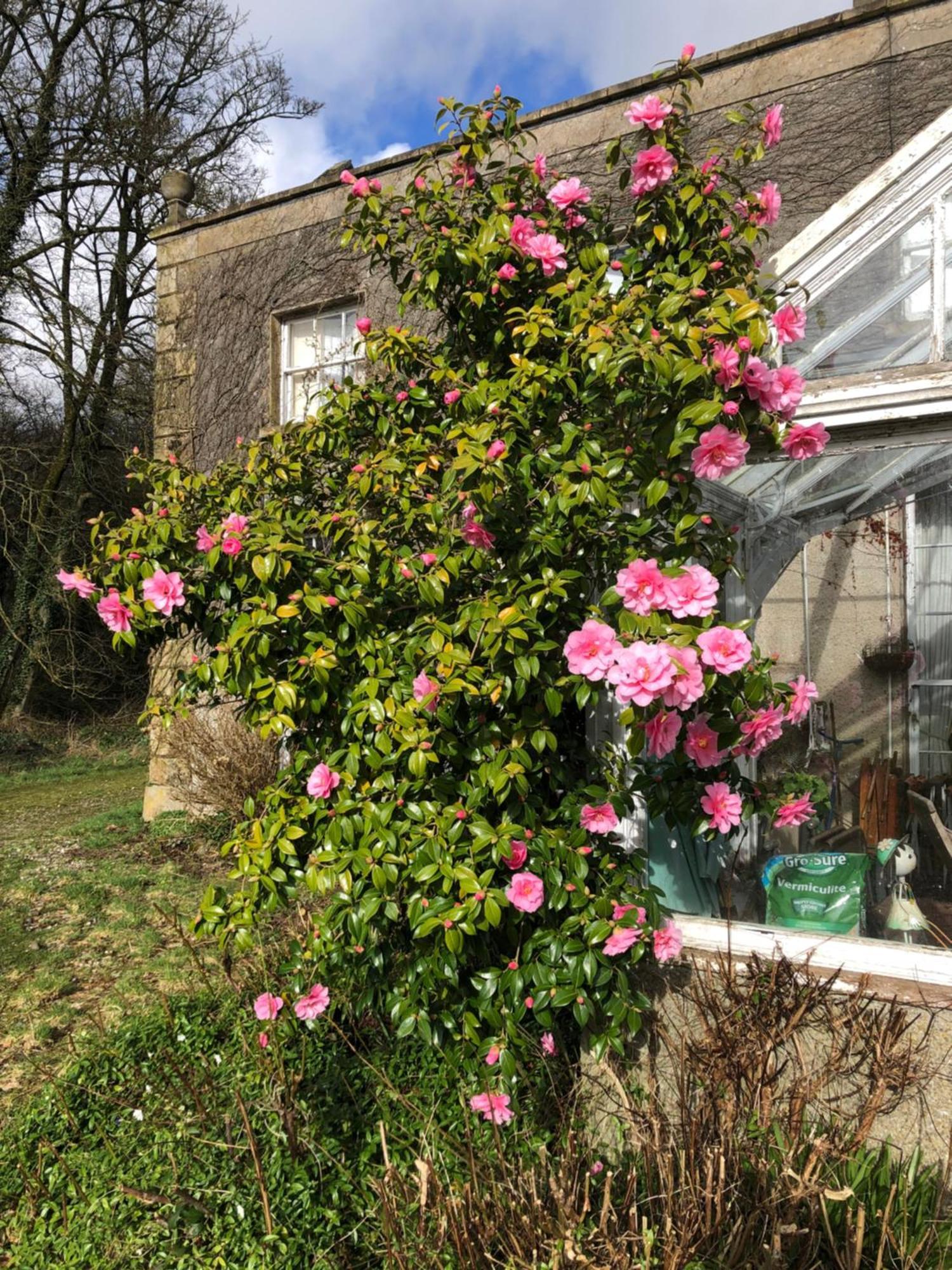 O'Harabrook Country House แบลลีย์มันนี ภายนอก รูปภาพ
